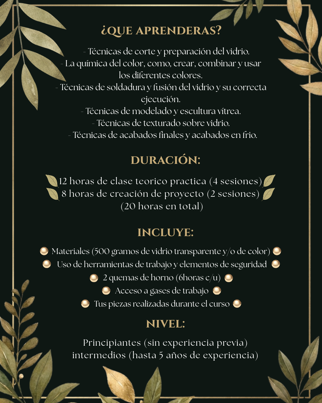 Temario, duración de 20 horas, materiales incluidos y niveles del curso.